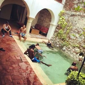 Meet your Posher, Terry